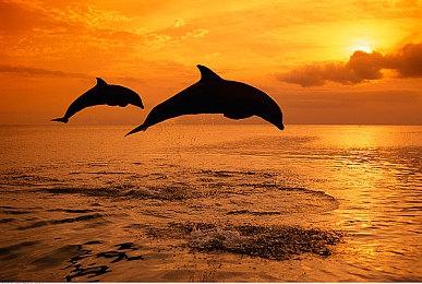 没有取消 米哈游确定Switch版《原神》仍在开发中