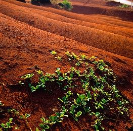 白金为《巴比伦的陨落》关服道歉 但不会放弃服务型游戏