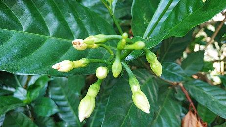 视觉小说游戏《宇宙之轮姐妹会》发售 神秘塔罗占卜